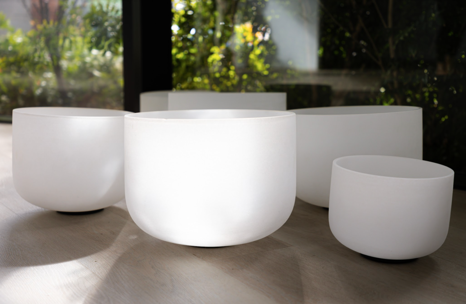 Screen Shot 2022 01 24 At 12.54.05 Pm December 2025 tamara yoga studio screen shot 2022 01 24 at 12.54.05 pm 2025